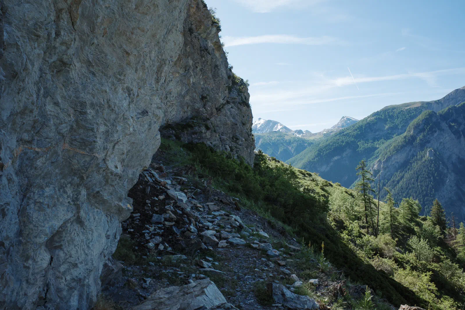 Kurz verlasse ich hier den Wald…