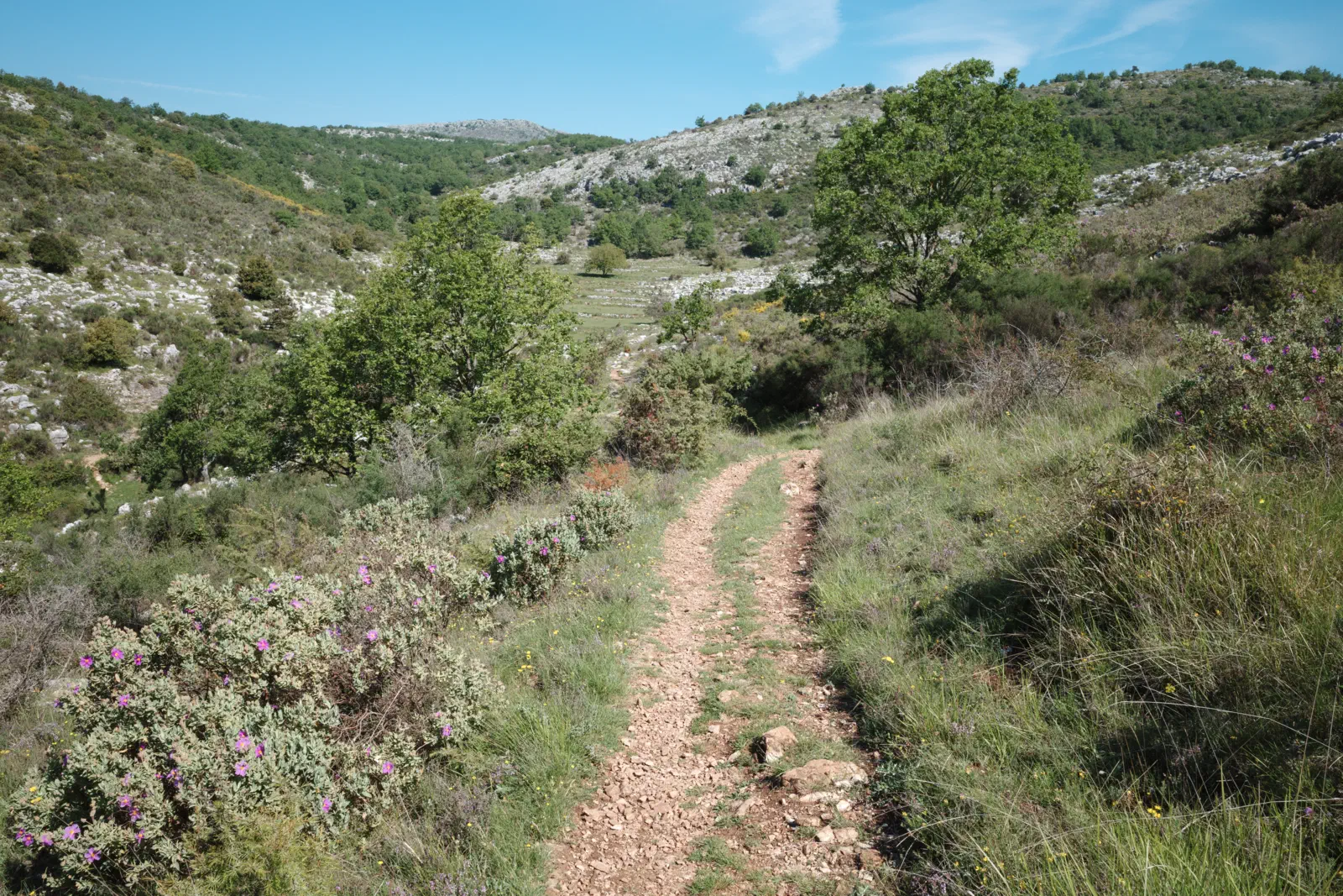 Blick zurück Richtung Jas de Jausserand