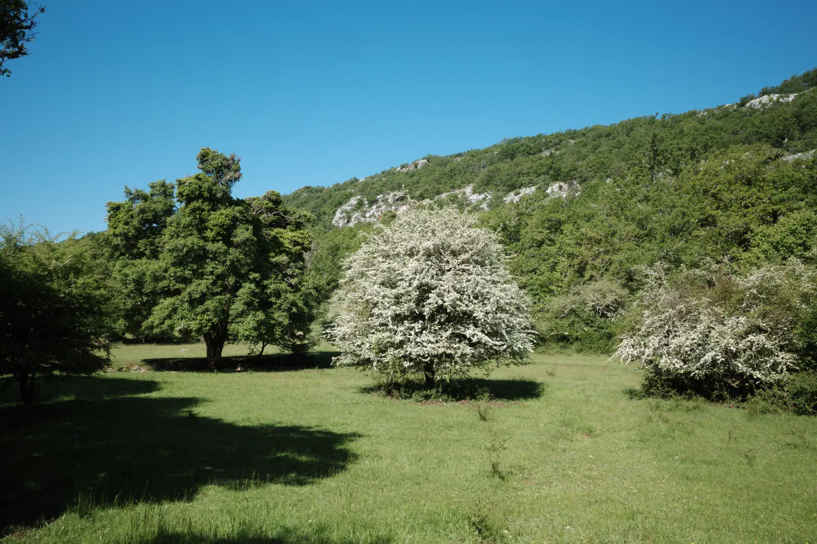 Natur zum Genießen