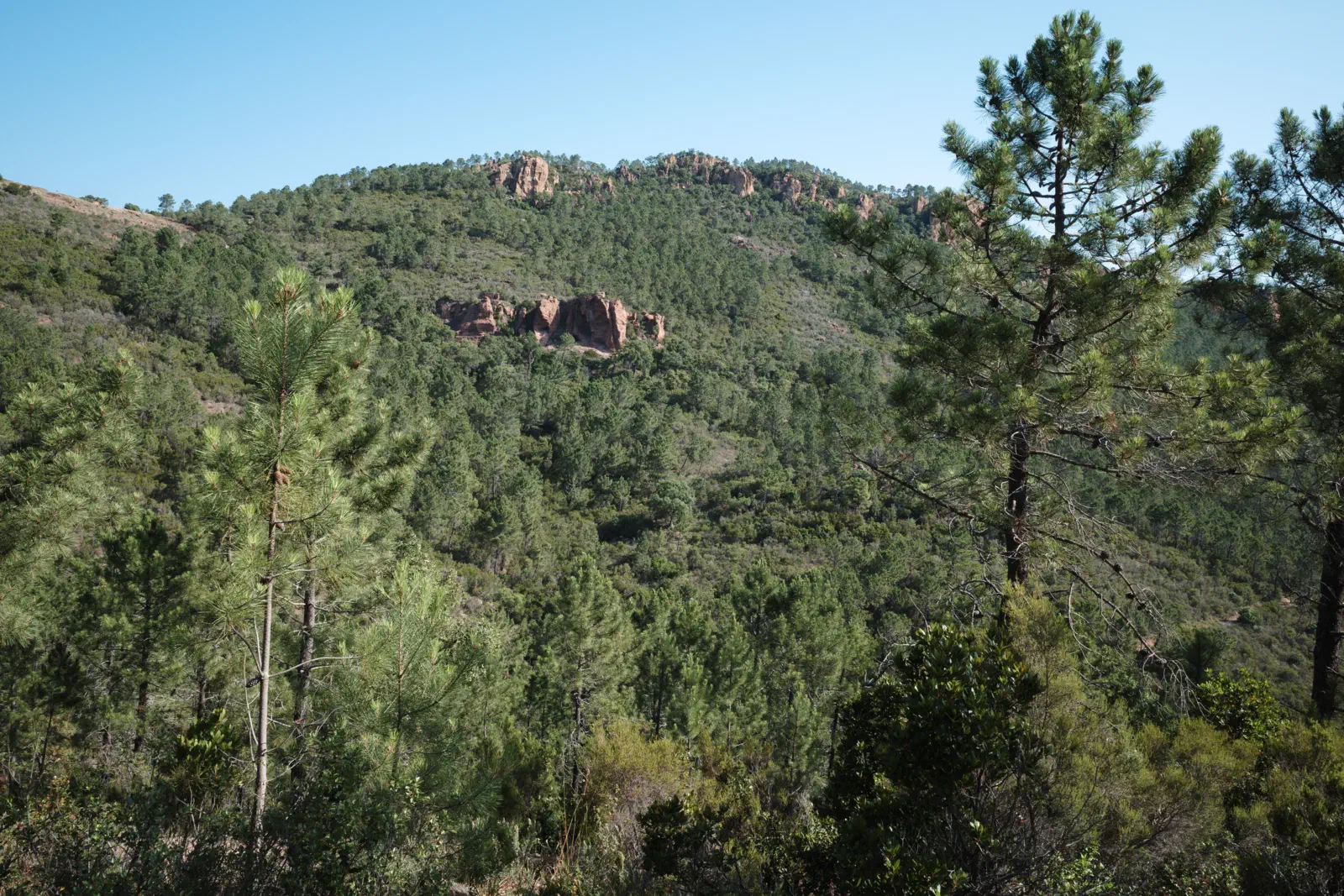 Die roten Felsen sind typisch für das Estérel Gebirge.