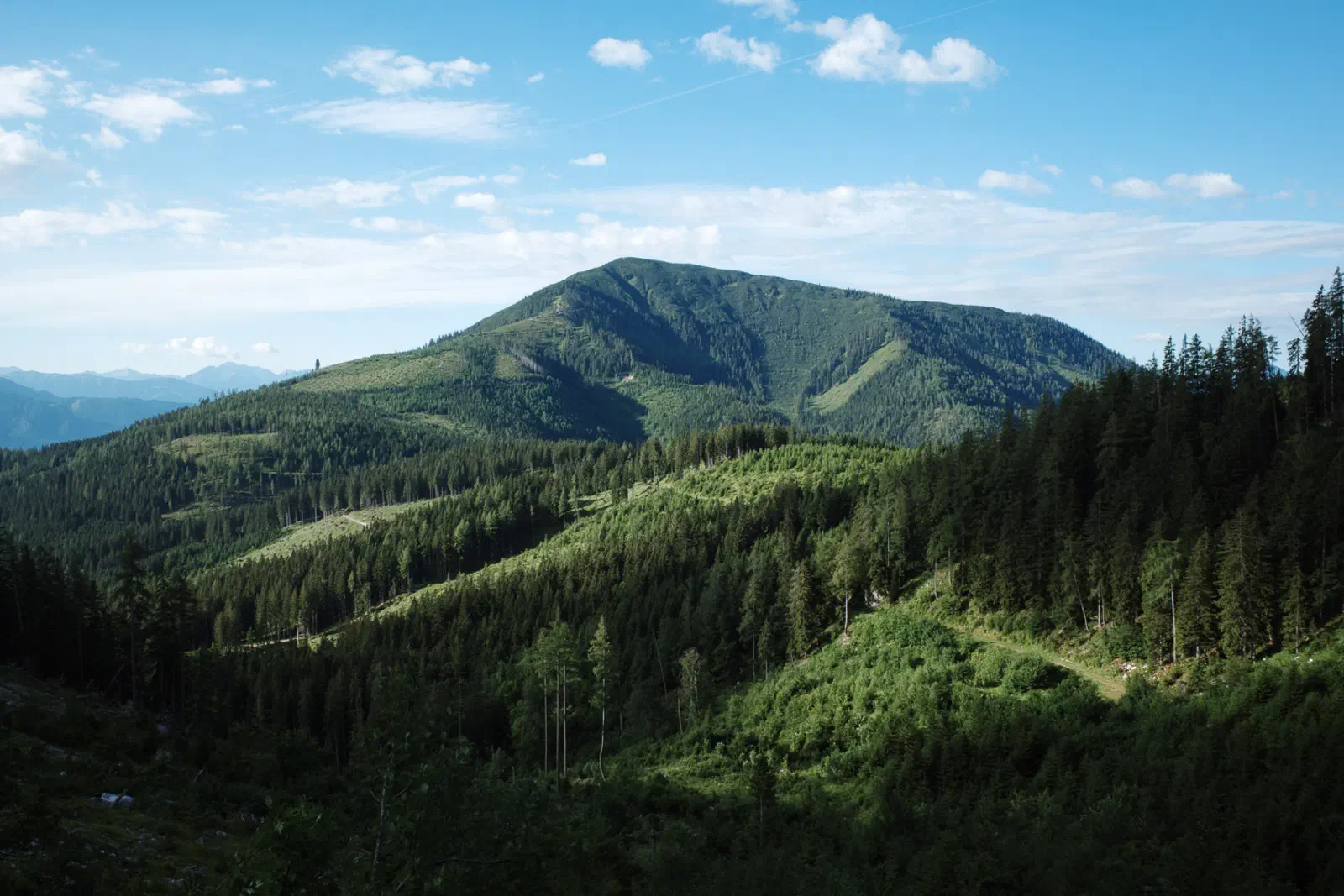 Der Pleschberg