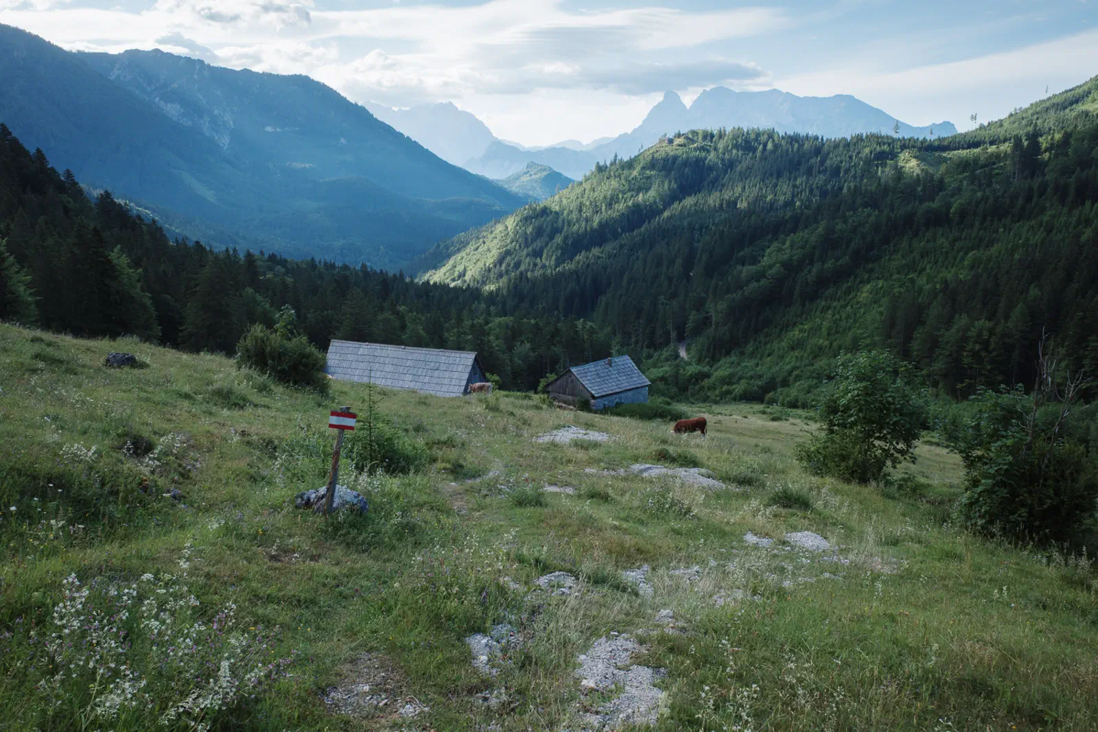 Blick zurück auf die Gstattmaieralm