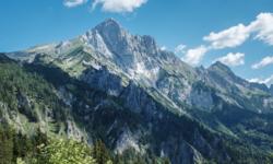 Featured image of post Von Hall/Admont auf den Scheiblingstein (2.197m)