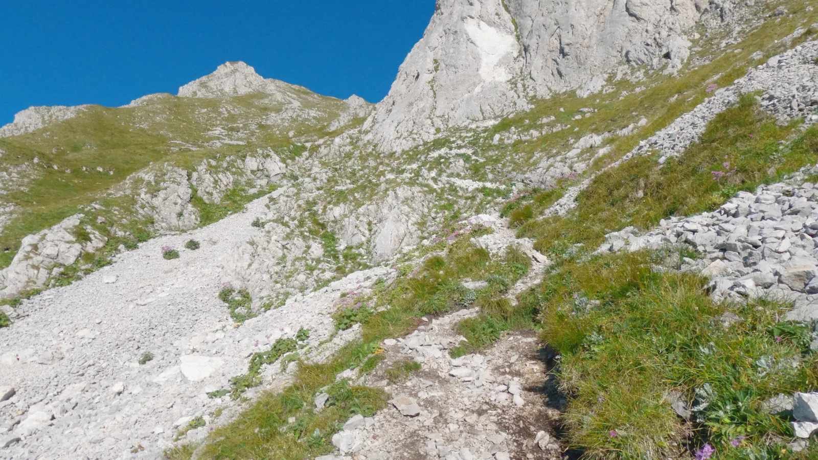 Über den Gamssteig führt die Route stetig bergauf.