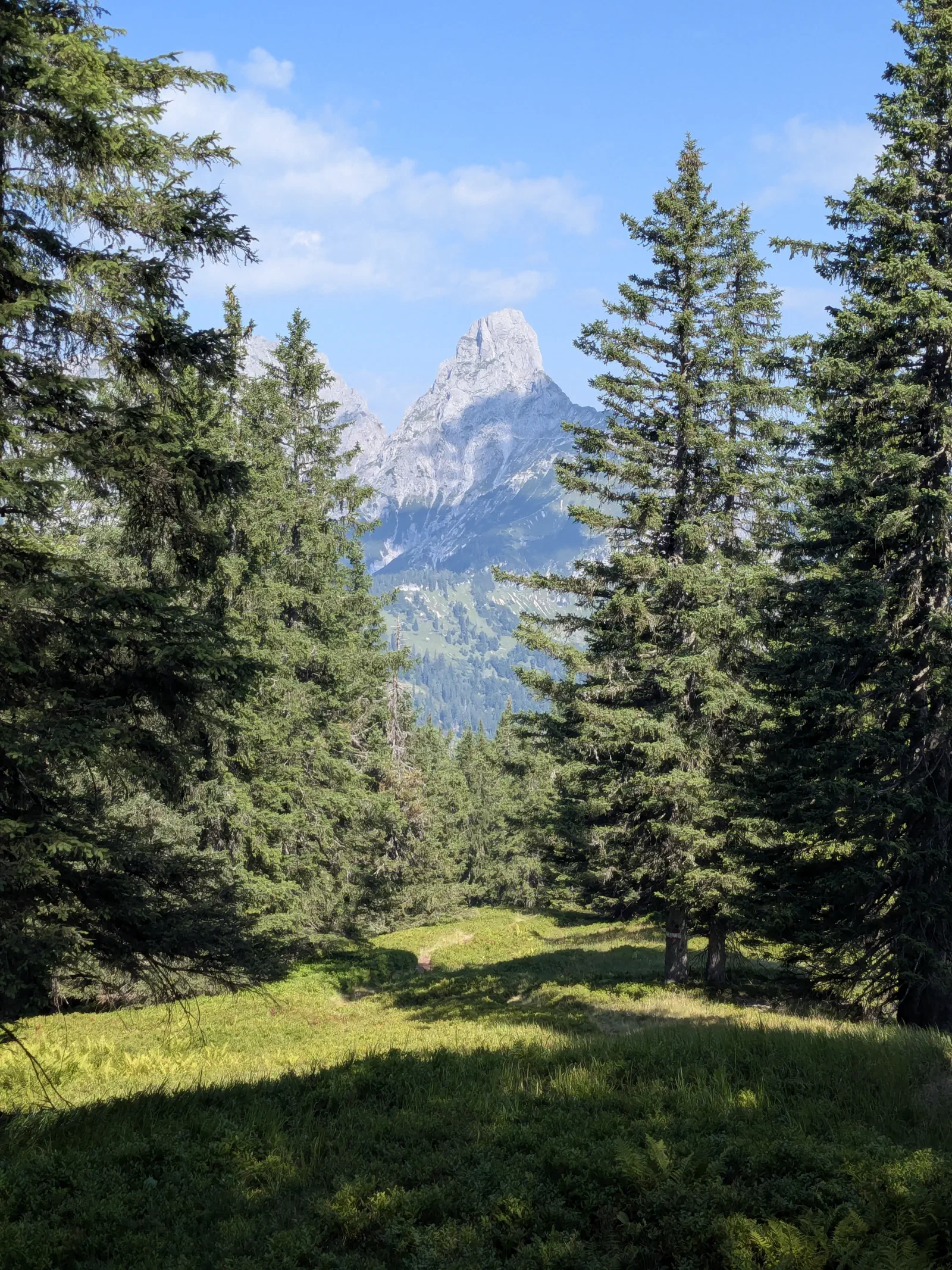 Mit dem Blick auf den Admonter Reichenstein…