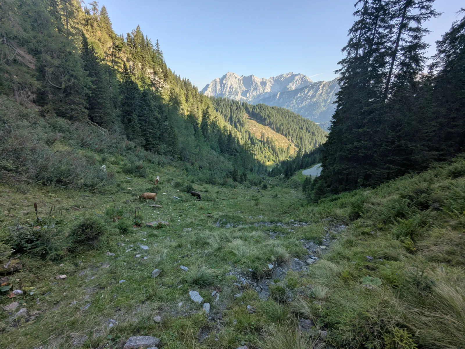 Der Weg hinauf zum Leobnertörl ist nicht immer gut ersichtlich. Der Ausblick jedoch ist traumhaft.