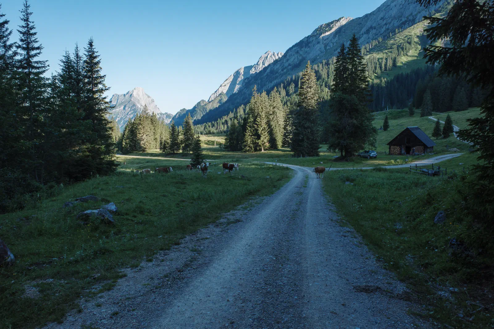 Wie der Name der Route schon sagt, kommt man an einigen Almen vorbei.