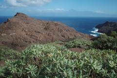 Von Hermigua zum Playa de la Caleta