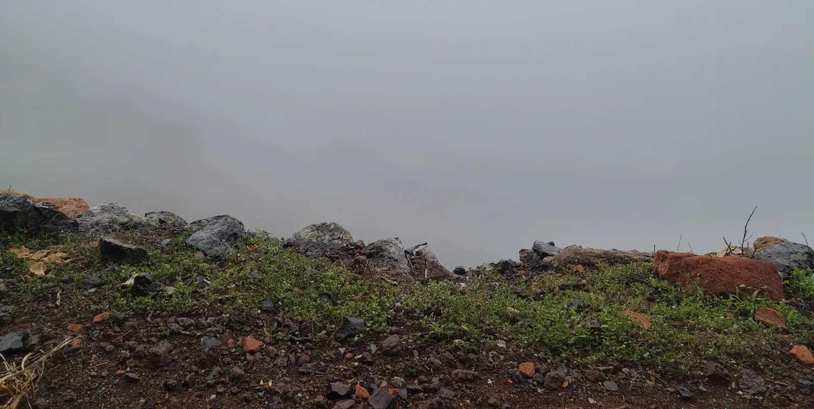 Schon bald ist kaum mehr was zu sehen.