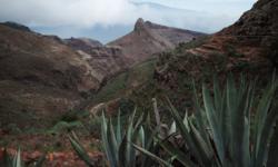 Featured image of post Von San Sebastián nach Hermigua – zumindest war das der Plan