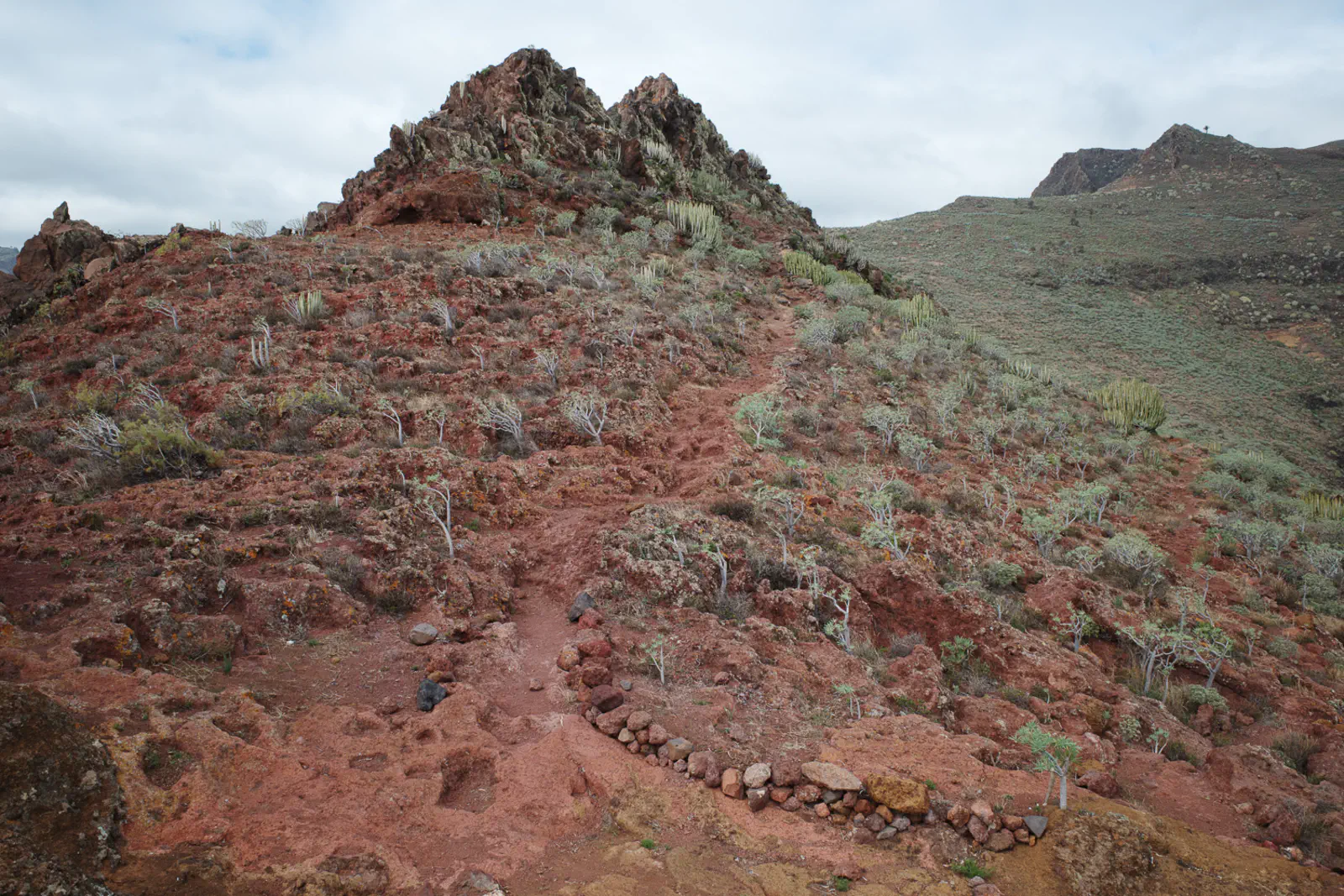 Es wird etwas grüner und auch die Wolken dominieren nun.