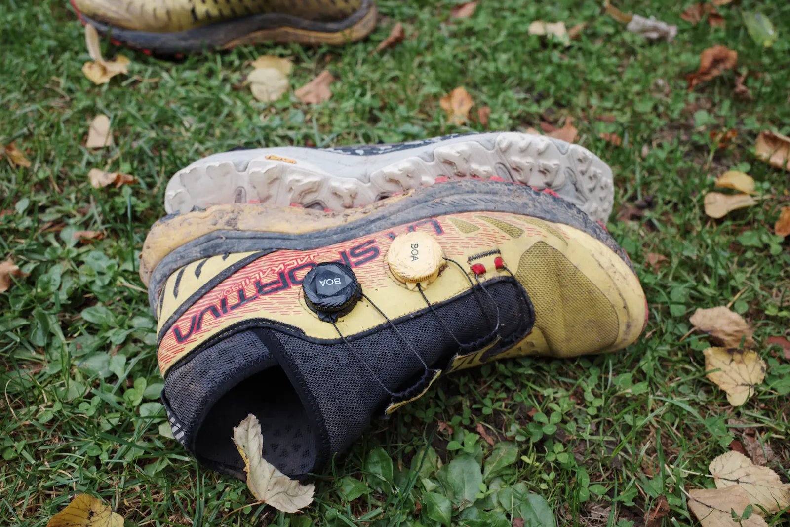 …dass der Jackal II Boa im Vergleich zum…