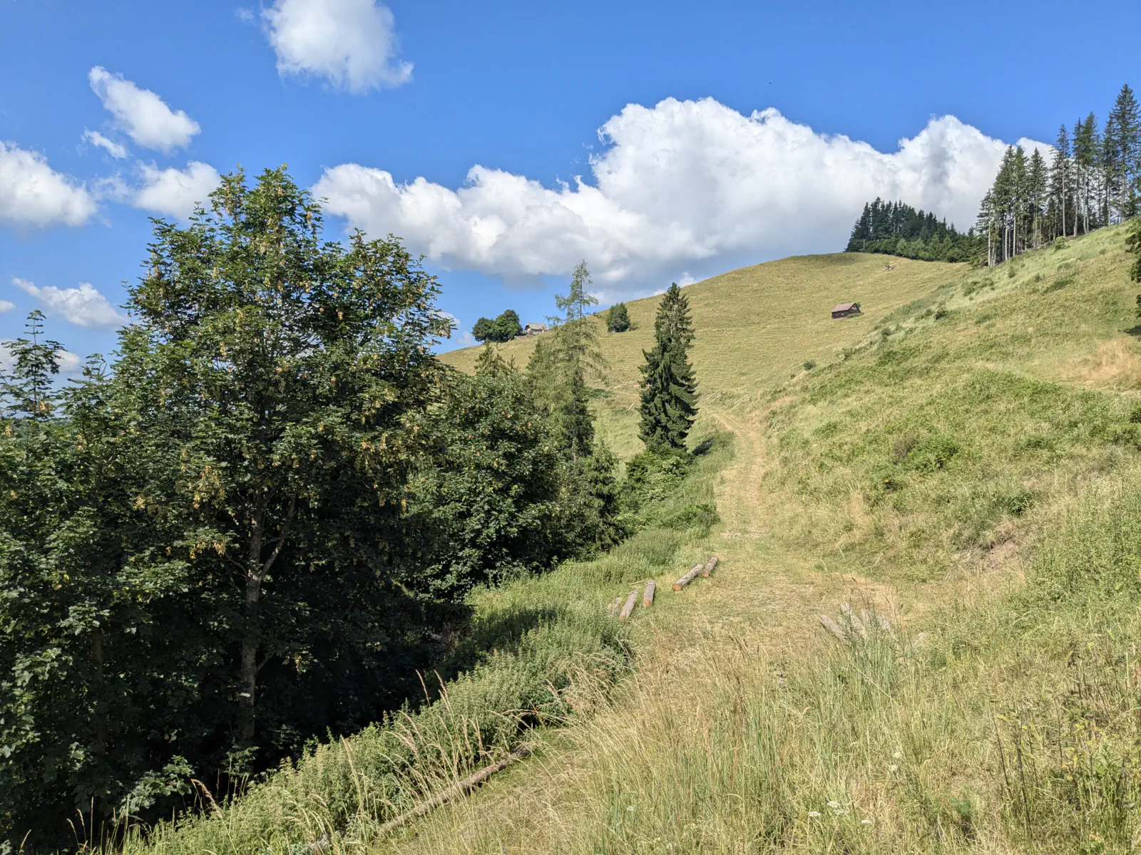 Blick zurück zur Kotzalm