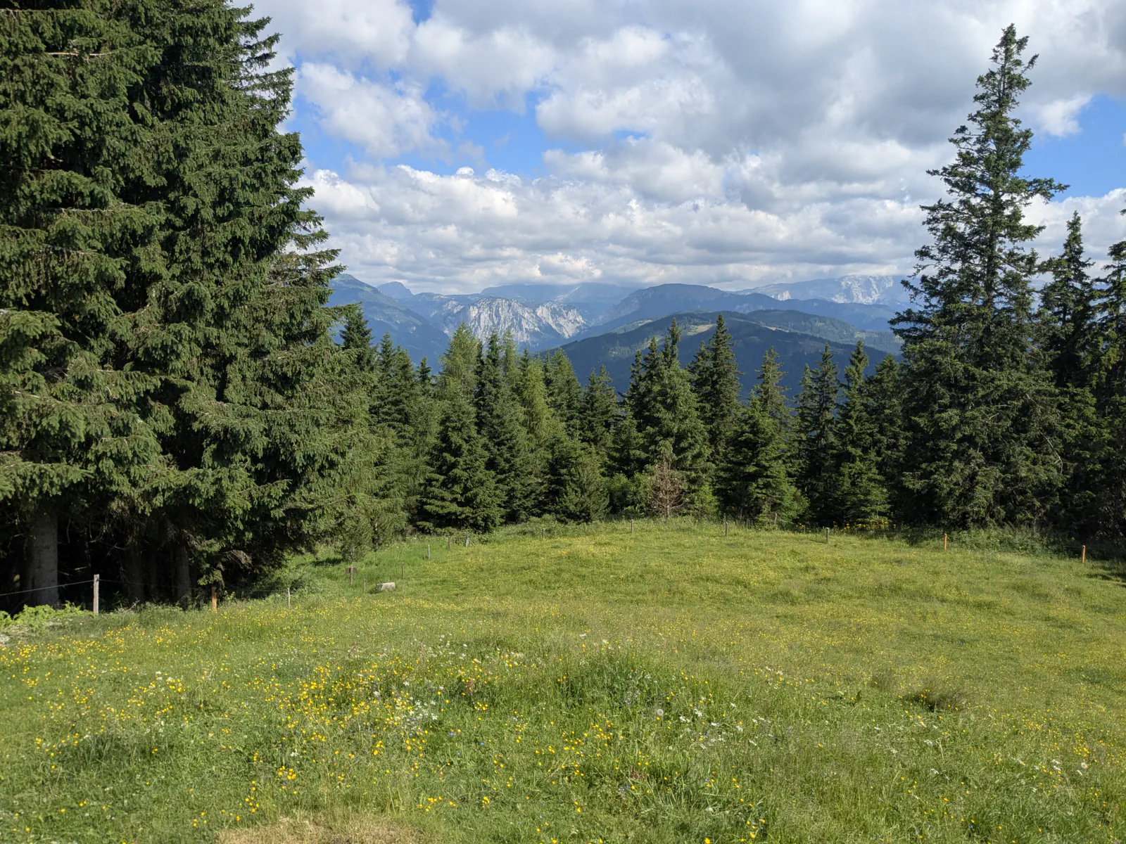 Ausblick in Richtung Tragöß