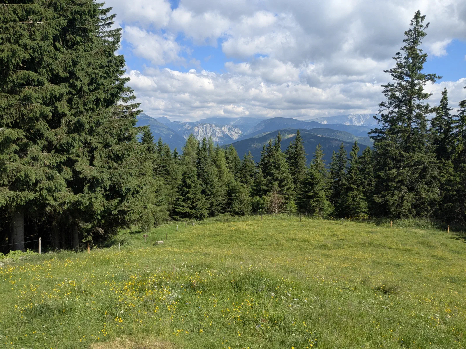 Ausblick in Richtung Tragöß