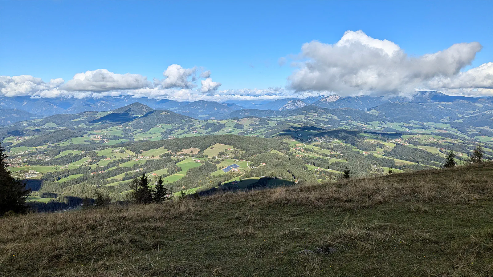 Trailrunning ist Ganzkörpertraining.