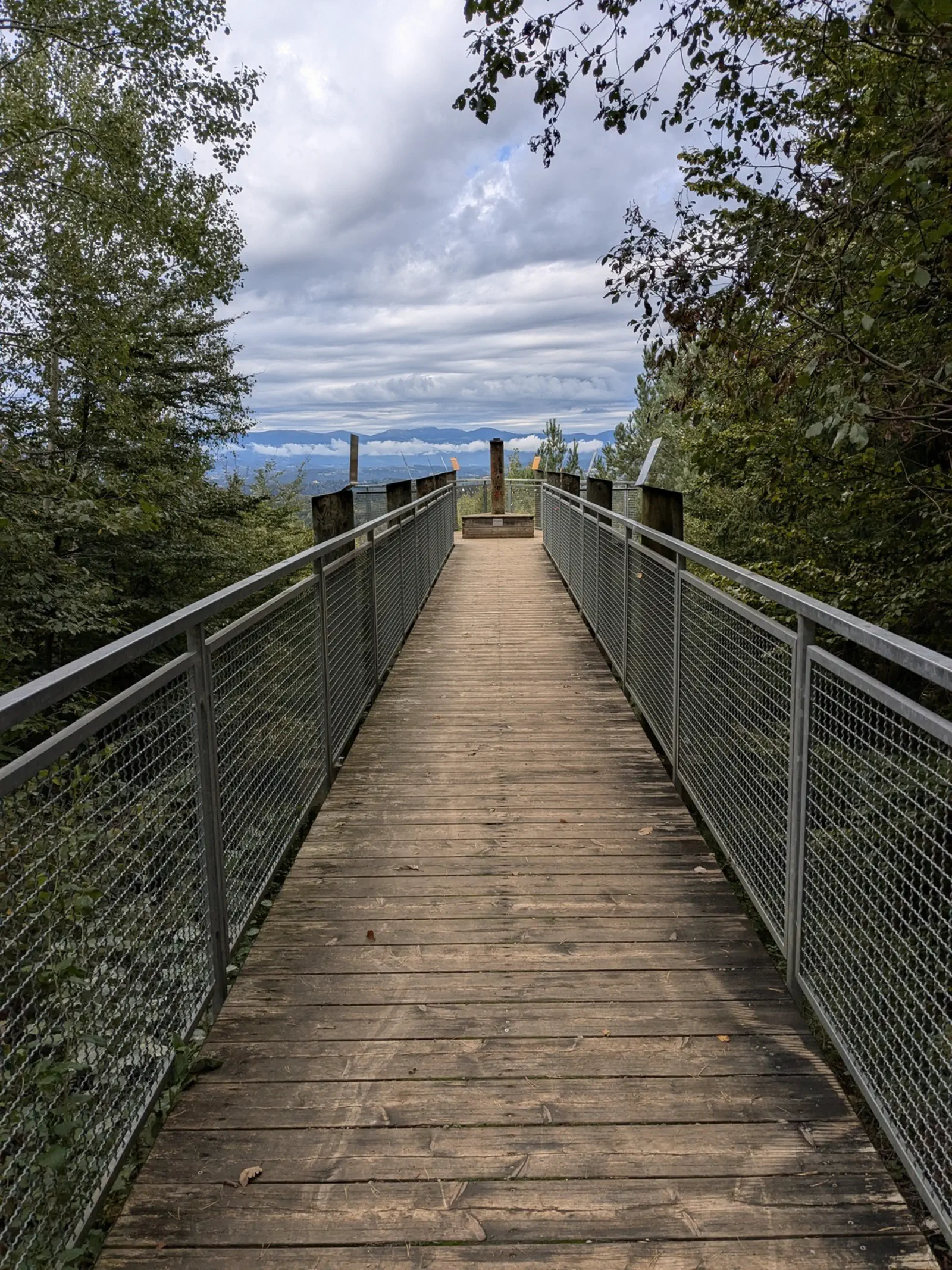 Von der Aussichtsplattform am Buchkogel…