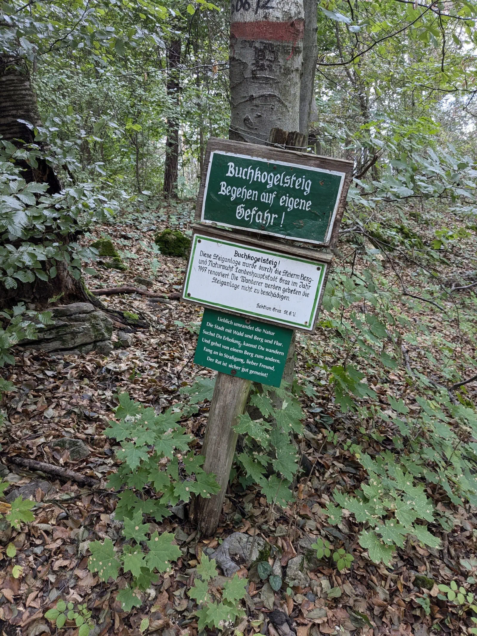 Am Buchkogelsteig wird es für kurze Zeit etwas steiler.