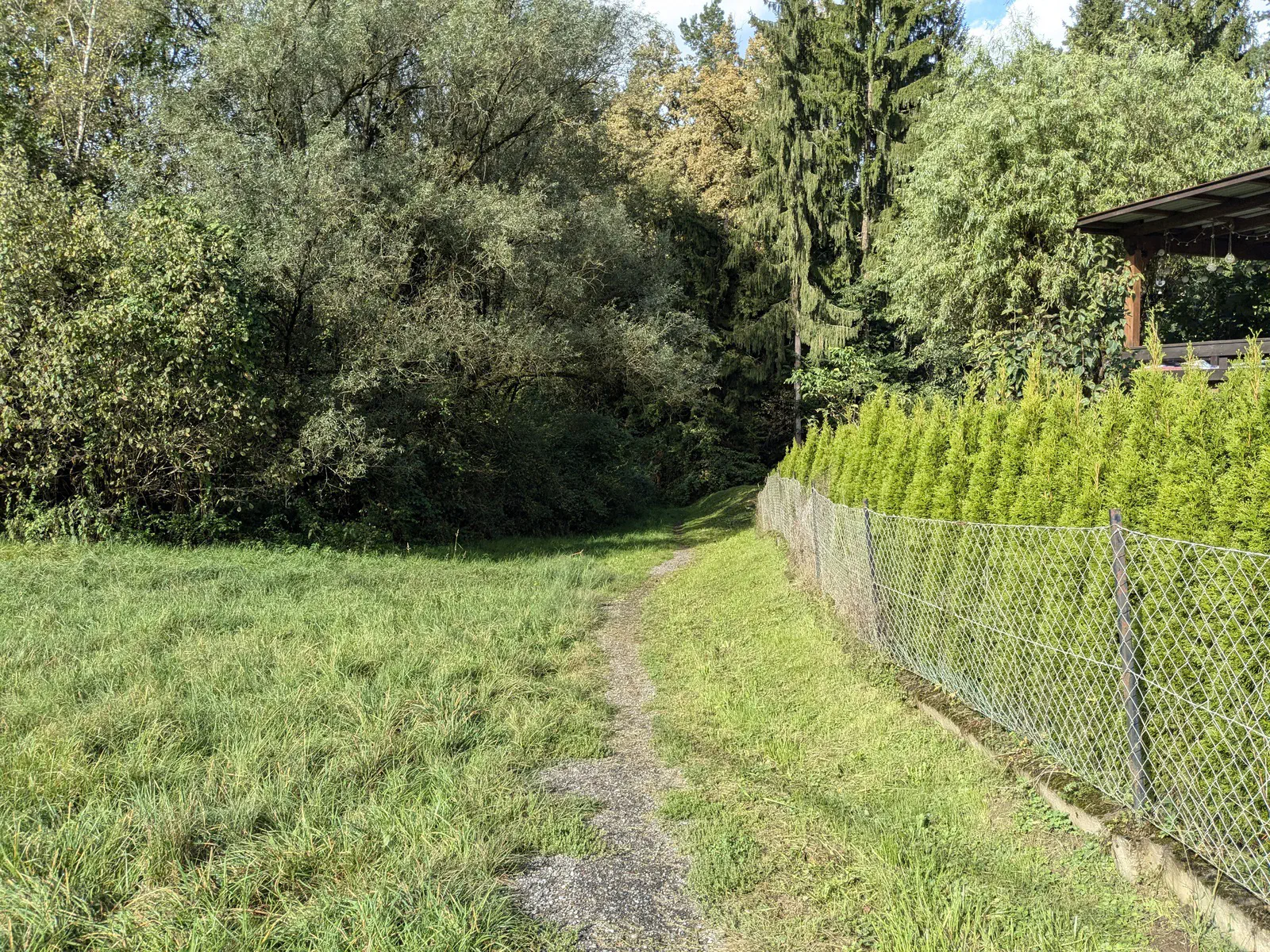 Gleich nach dem Bahnhof geht es hinein in den Wald.