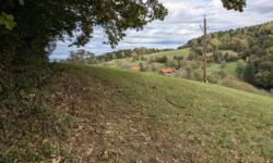 Featured image of post Waldgenuss-Trailrun – Bahnhof Premstätten/Tobelbad nach Graz