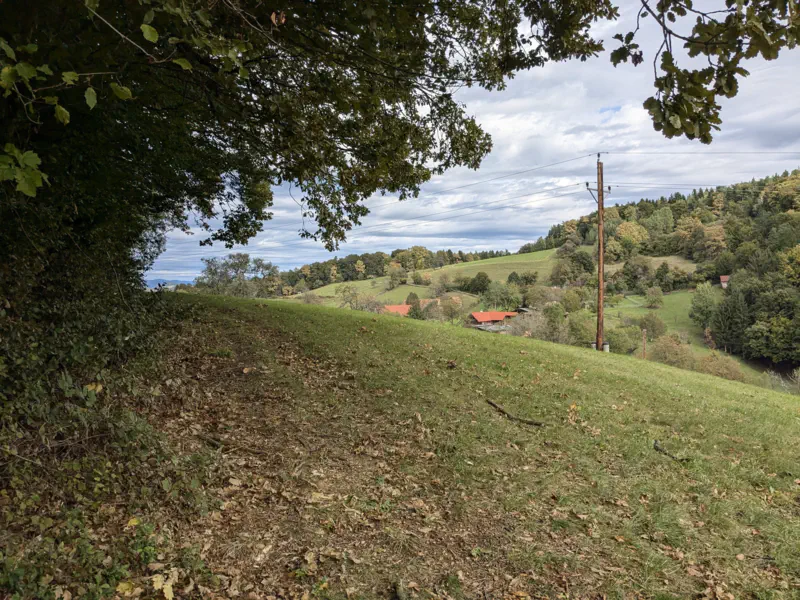 Featured image of post Waldgenuss-Trailrun – Bahnhof Premstätten/Tobelbad nach Graz