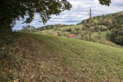 Waldgenuss-Trailrun – Bahnhof Premstätten/Tobelbad nach Graz