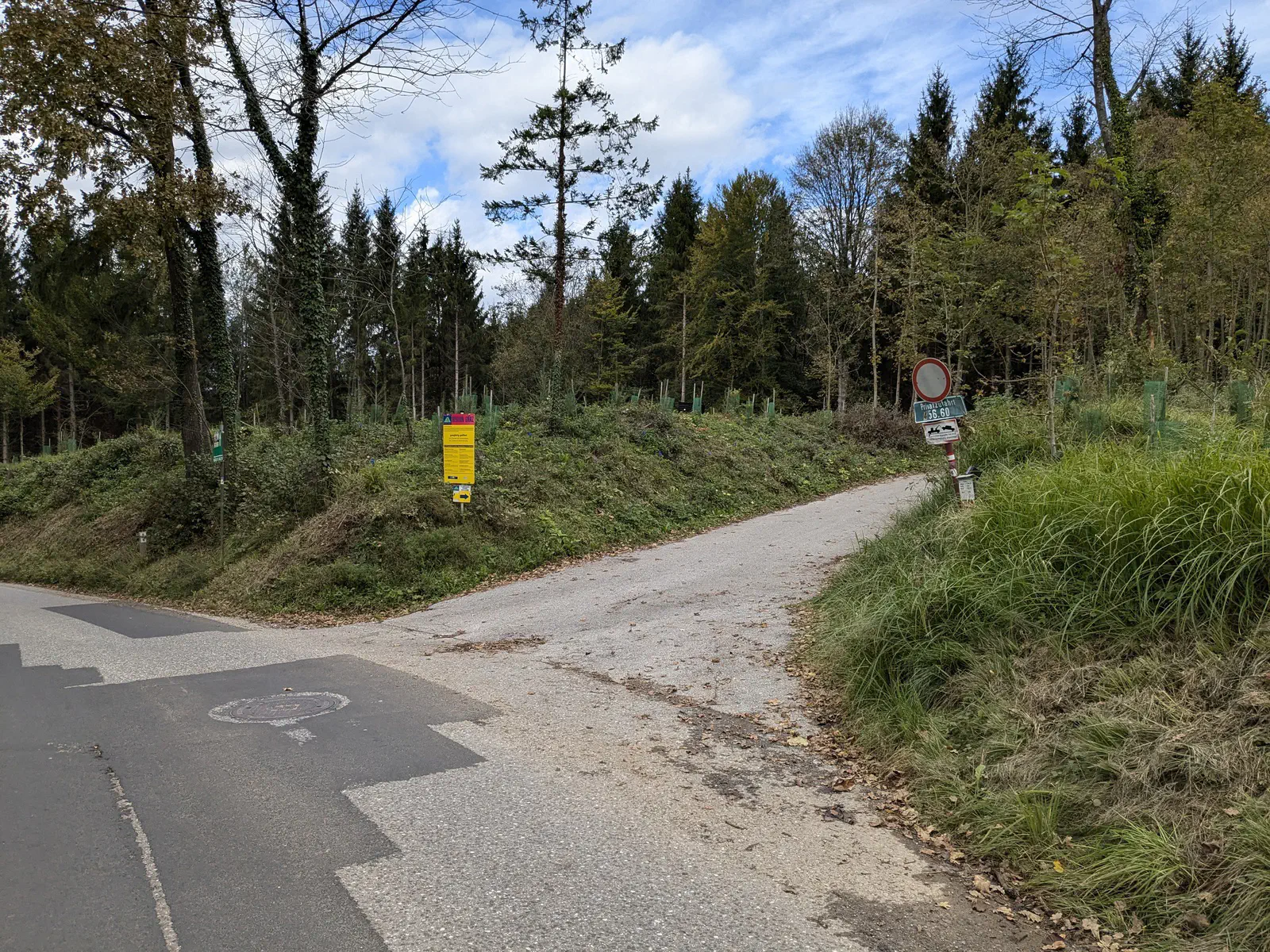 Bald verlasse ich die Straße wieder Richtung Wald.