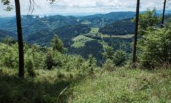 Featured image of post Von Übelbach nach Frohnleiten über den Haneggkogel
