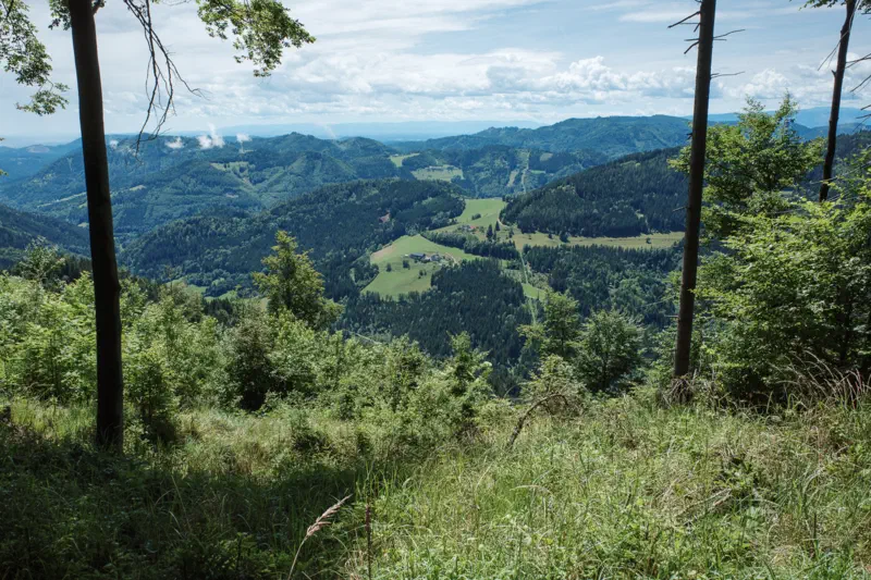 Featured image of post Von Übelbach nach Frohnleiten über den Haneggkogel